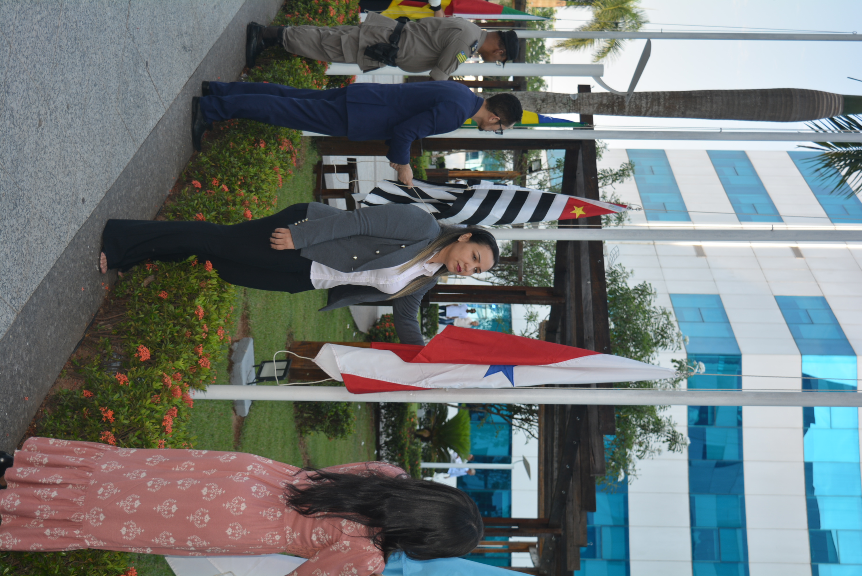Imagem 3